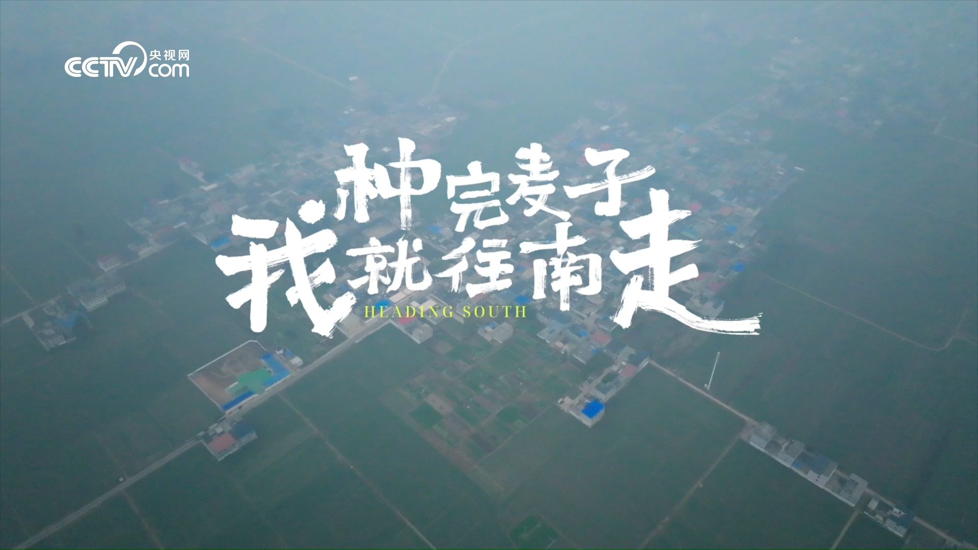 独家记录｜种完麦子就往南走的麦子阿姨，全程纪录片来了