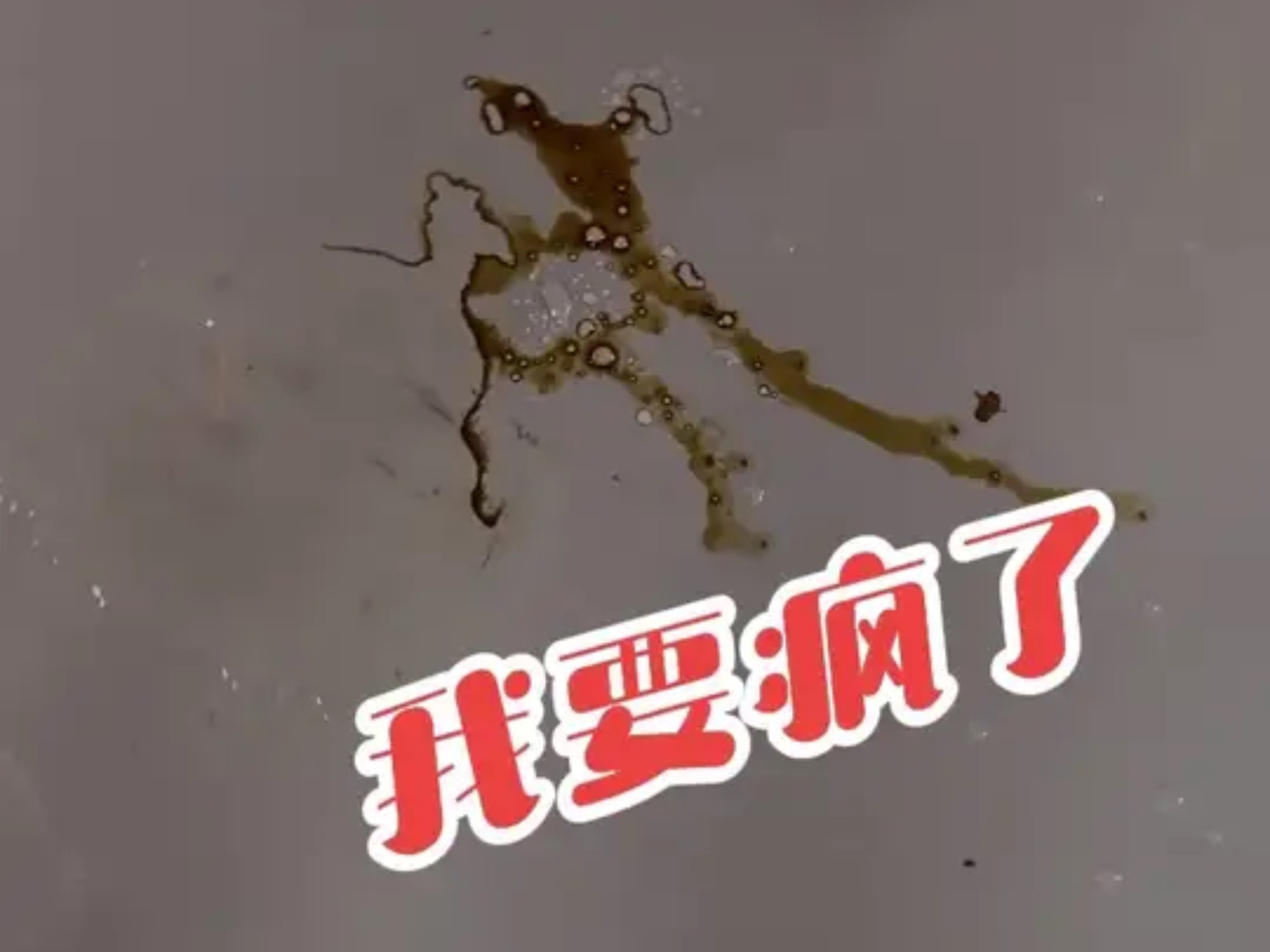 遇到玩情怀车的邻居！
