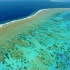 蓝色星球2 —  珊瑚礁 2 生命的延续