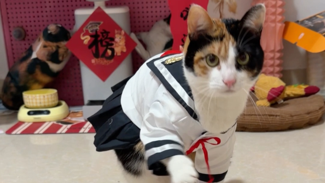 听调不听宣