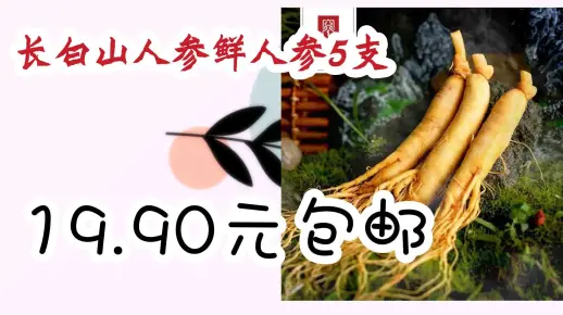 【抢购价】长白山人参鲜人参5支 19.90元包邮