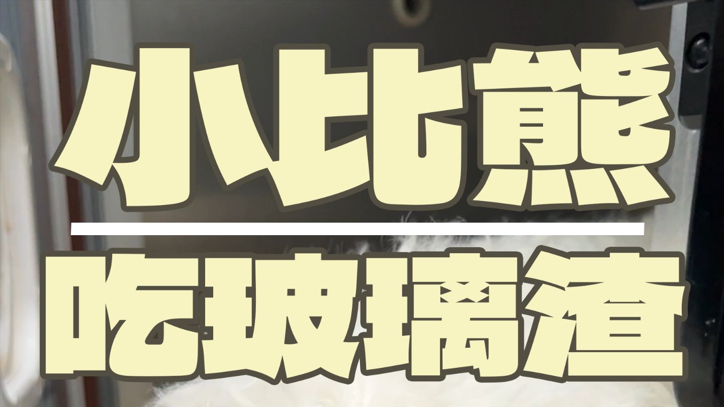 你怎么啥都敢往肚子里咽？？