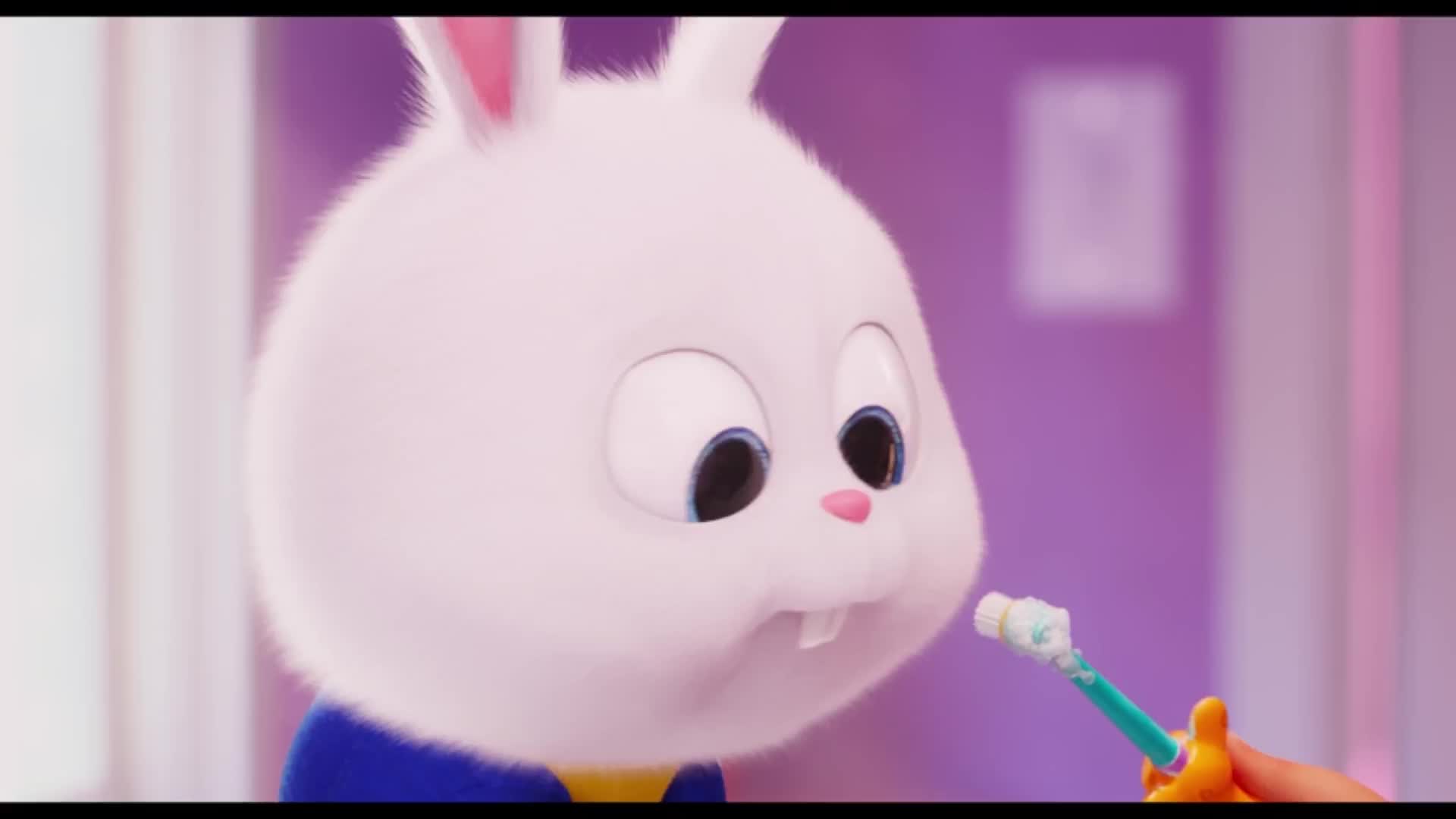 snowball兔子表情包-千图网