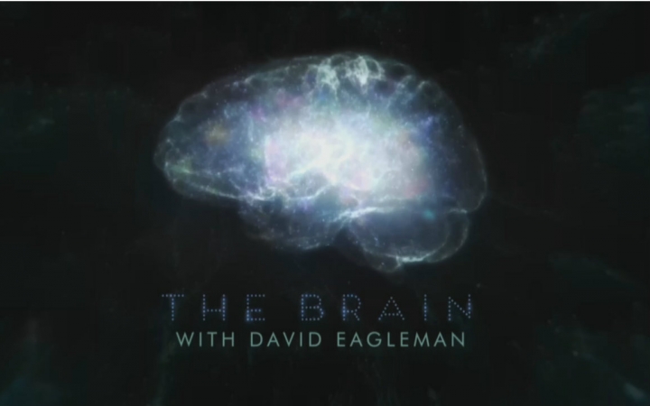 纪录片.pbs深入大脑.the.brain.with.david.eagleman.2015.