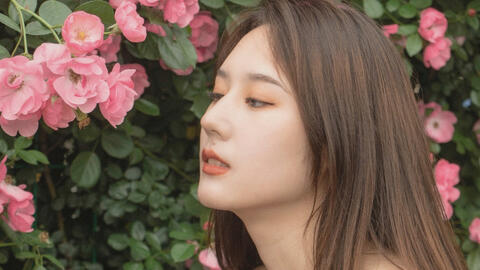 人像摄影｜蔷薇色的五月