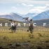 用Cinematic FPV拍摄蒙古大草原上带着鹰的游牧民族~