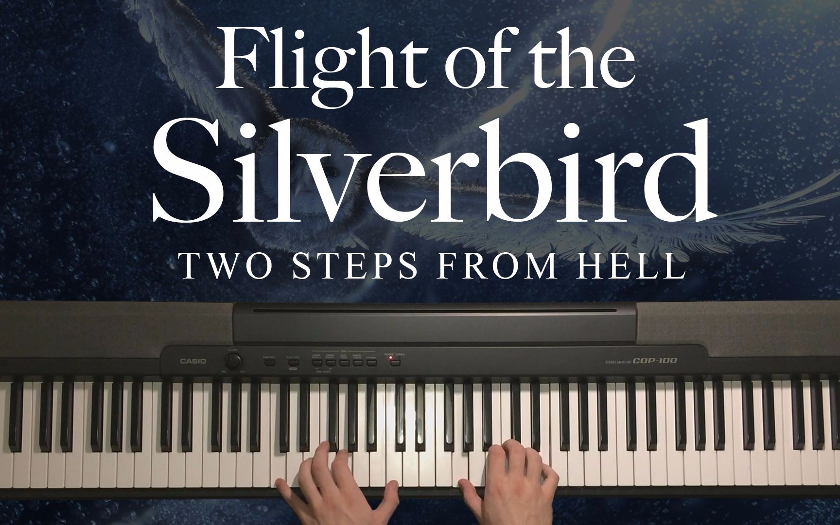 【钢琴】Flight of the Silverbird - Andrew Wrangell 翻弹