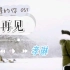 【韩剧 来自星星的你 OST】孝琳 - 再见 MV 中韩字幕 @神迹出品