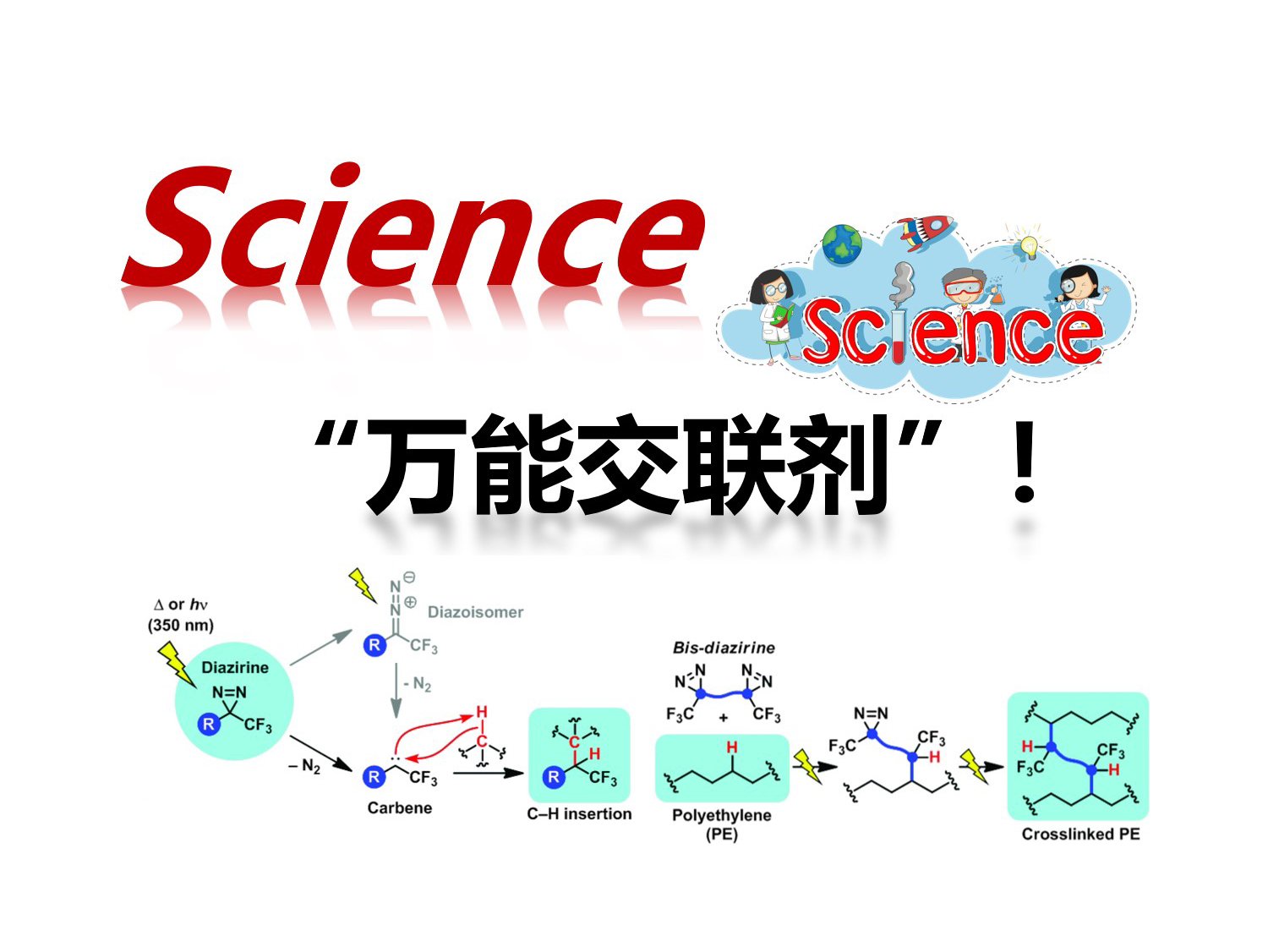 【Science】聚合物交联剂（蔡晨晨）241118