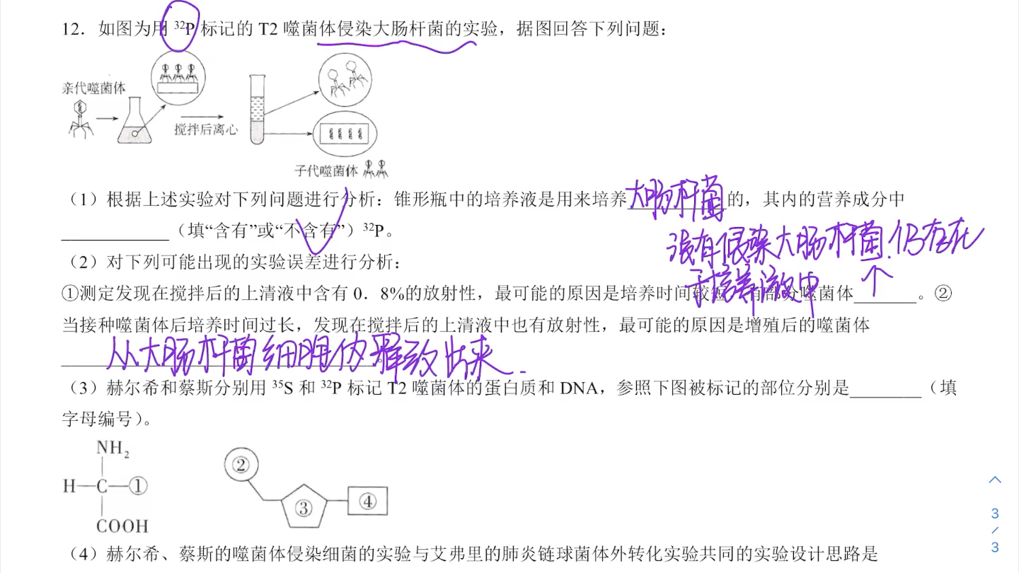 dna是主要遗传物质习题 哔哩哔哩 つロ干杯 bilibili