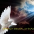西班牙经典情歌 La Paloma ：鸽子 演唱：Julio Iglesias 胡里奥-