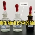 【实验视频】检测生物组织中的油脂