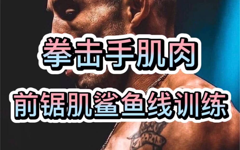 拳击手肌肉前锯肌鲨鱼线训练