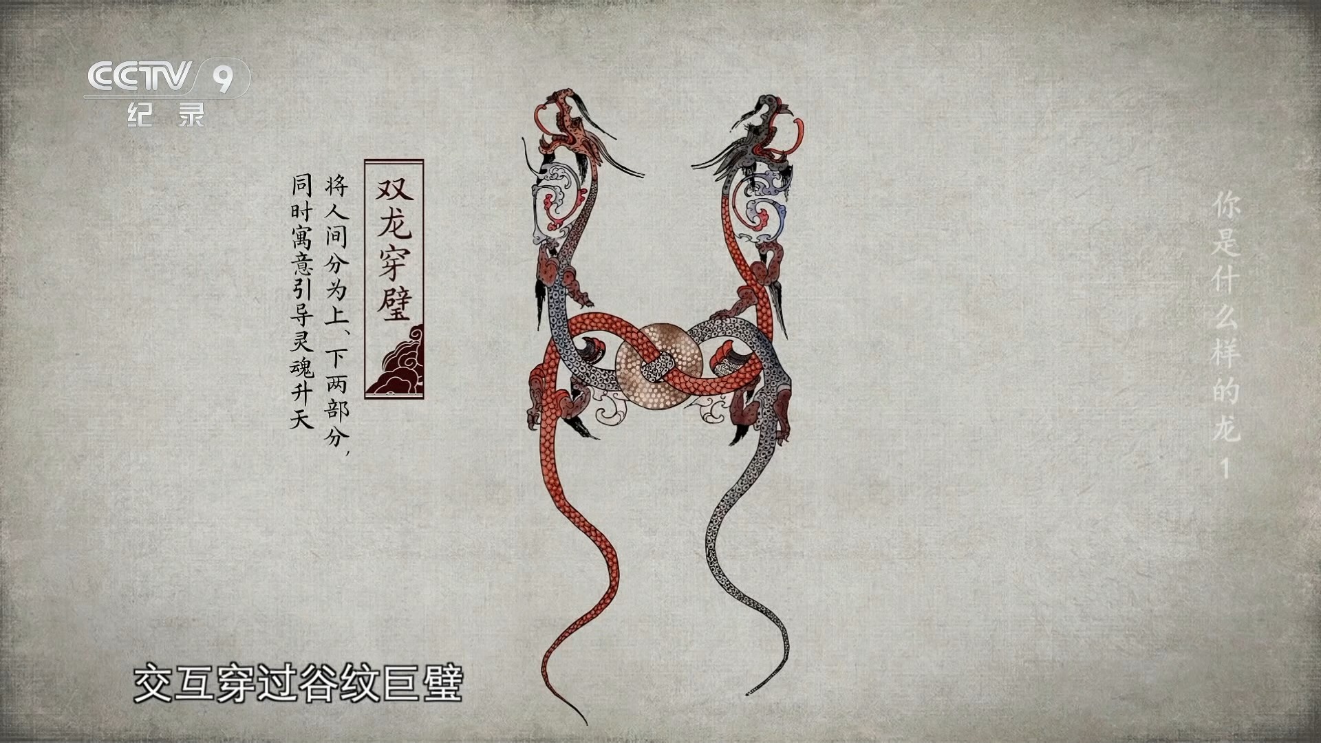 【你是什么样的龙】星空发现龙