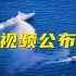 中国海警公布依法处置菲船只视频
