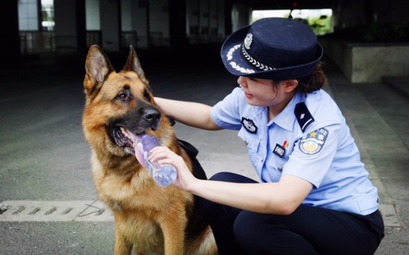 汪汪大队警犬成长记②年轻警花和可爱警犬的青春故事cut