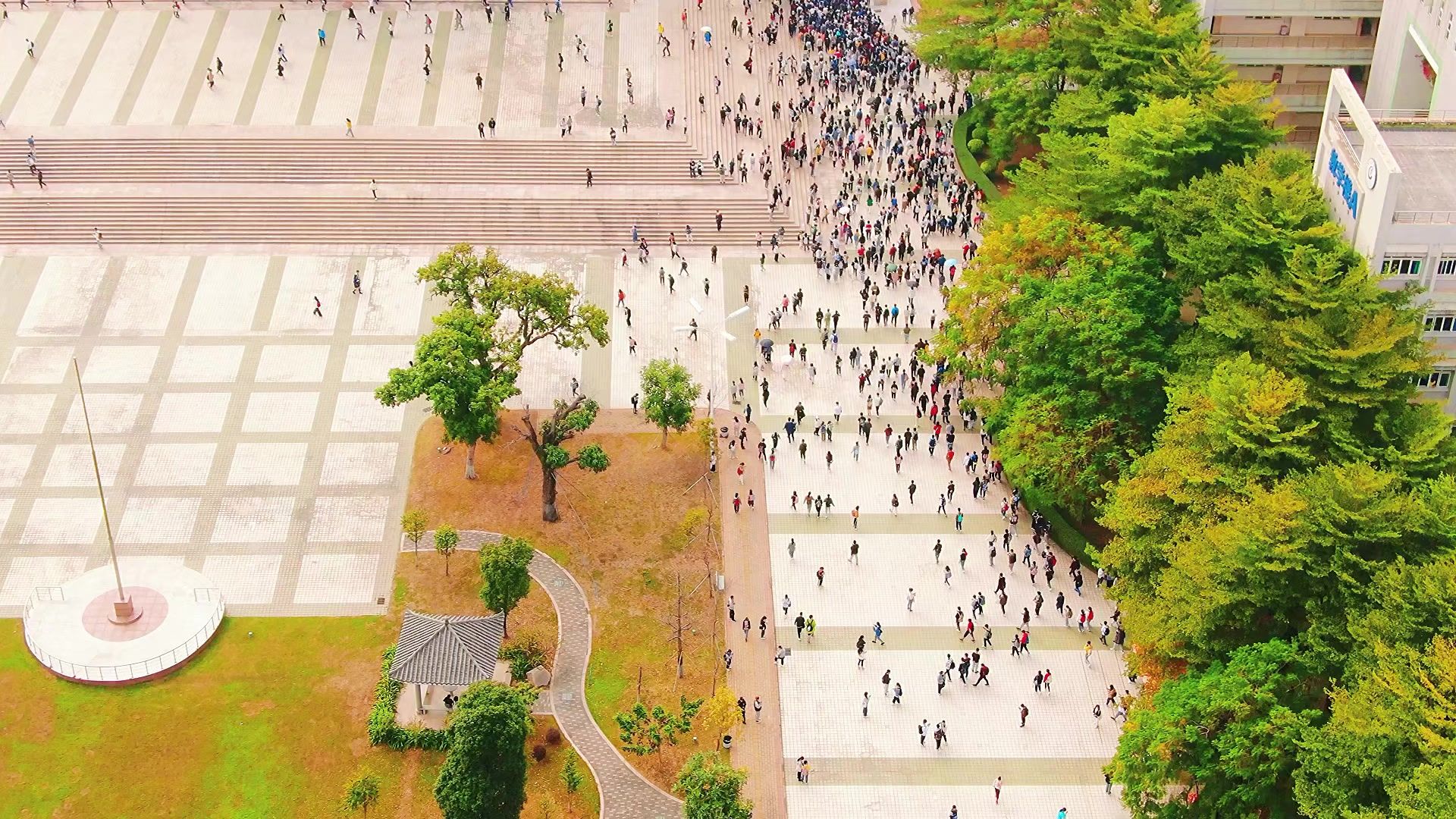 【空镜素材】大学校园