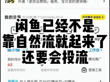 闲鱼2025面必须要做的是投流