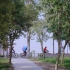 6472270            航拍4K骑行俱乐部骑自行车户外健身公园湿地登山车运动健身高清视频素材