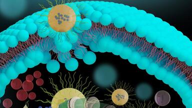 3Damx科研绘图-<em class="keyword">期刊封面图</em>的<em class="keyword">制作</em>