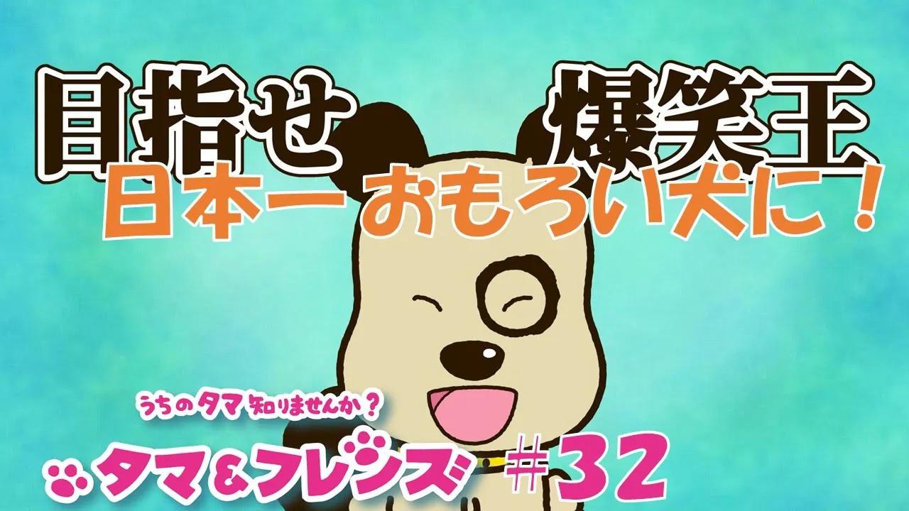 【生肉】TV动画《猫狗宠物街》第32话
