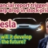 In depth interpretation of Tesla's Q4 2023 financial report