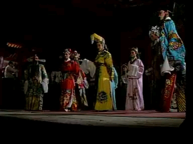 电视剧《林祥谦》1995，上