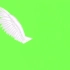 绿幕抠像天使翅膀视频素材
