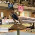［体操］第18回日本全国小学生体操大会（男子）