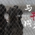 中国传媒大学学生作业丨《与牠同行 GO WITH IT》丨宠物救助丨动物保护