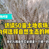 访谈50亩土地农场主为何选择自然生态的种植