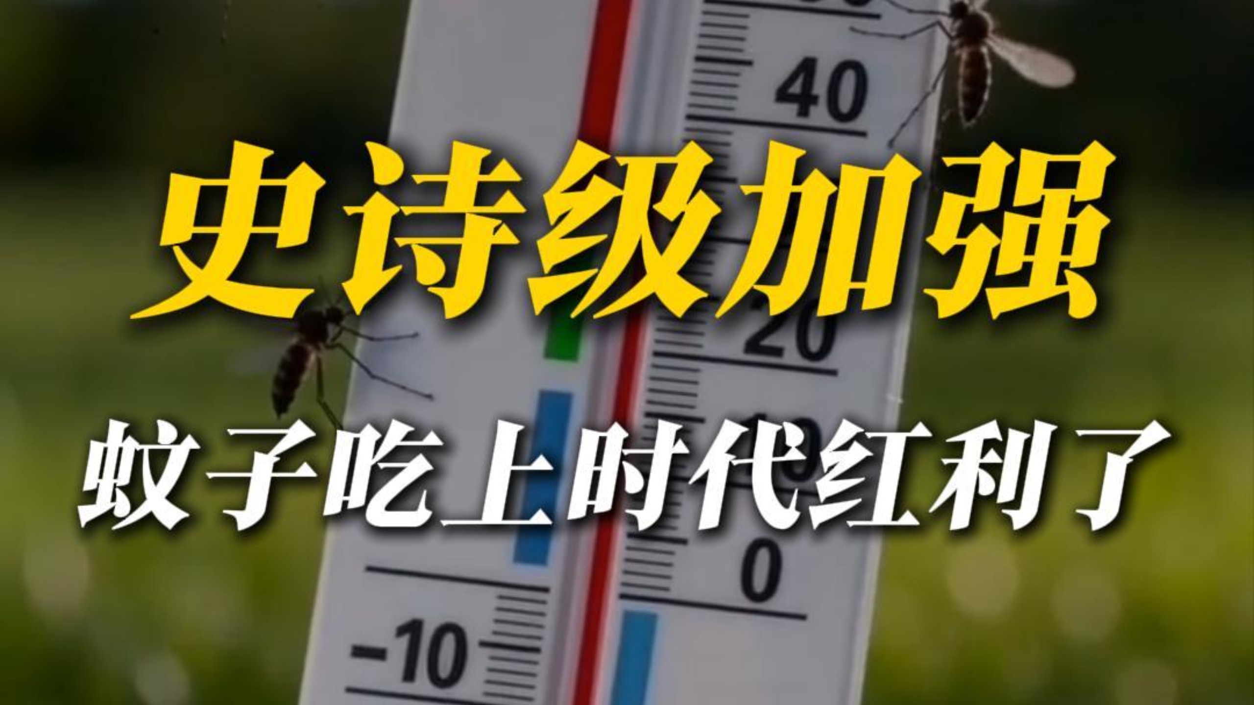 蚊子史诗级加强：厄尔尼诺来了，蚊虫吃上时代红利了