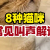 8种常见猫咪叫声的含义