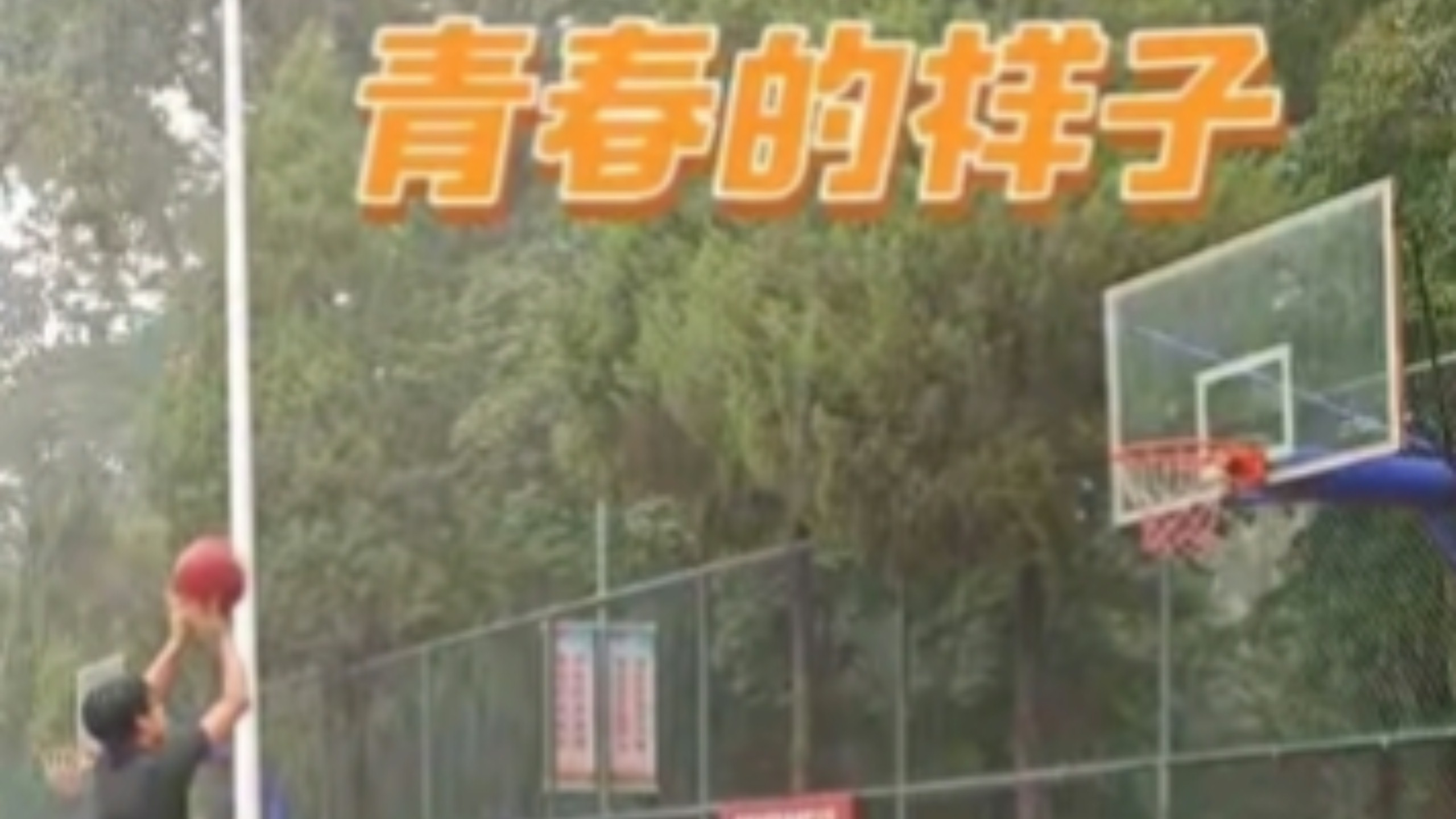 人无法同时拥有青春和对青春的感受，花有重开日，人无再少年