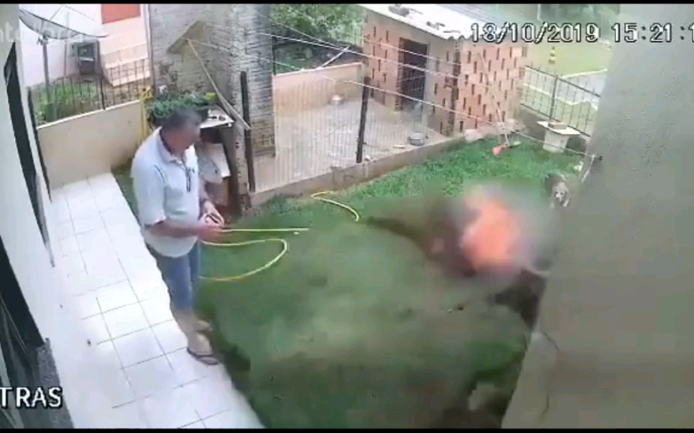 巴西一男子为了把自家草坪上的蚂蚁窝一锅端掉，似乎选择了先往里面喷杀虫剂然后再用火柴点燃的方法……效果简直拔群！