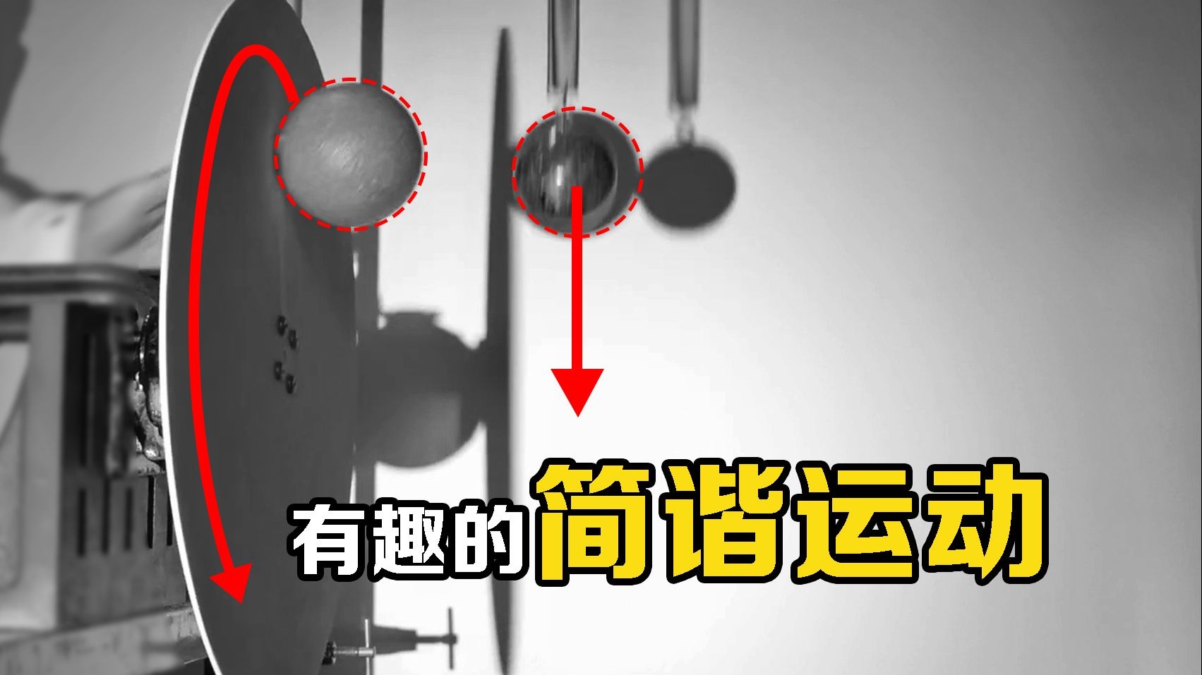 “简谐运动”是什么？将两颗小球同时释放，神奇的现象发生了