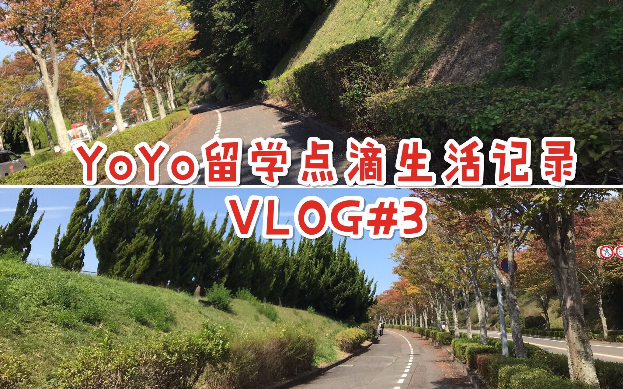 yoyo留学点滴日常记录vlog3一个人住广岛日本读研学习生活逛超市元气