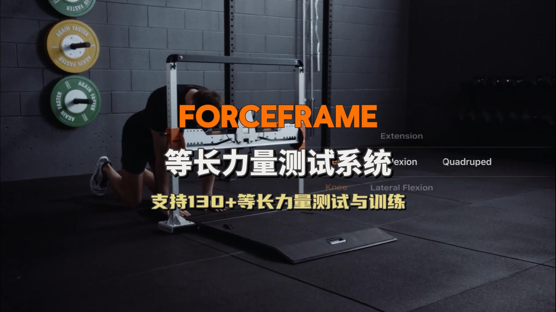 ForceFrame等长力量测试系统介绍 等长力量测试 等长力量训练
