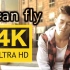 【4K顶级画质丨周杰伦创作】陈冠希《I can fly》MV修复版 冠希说过：这是他最好听的一首歌！