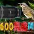 夺走M43系统仅剩的一点点尊严，佳能RF 600mm F11跟EOS R10搭配是性价比最高的野生打鸟组合吗？