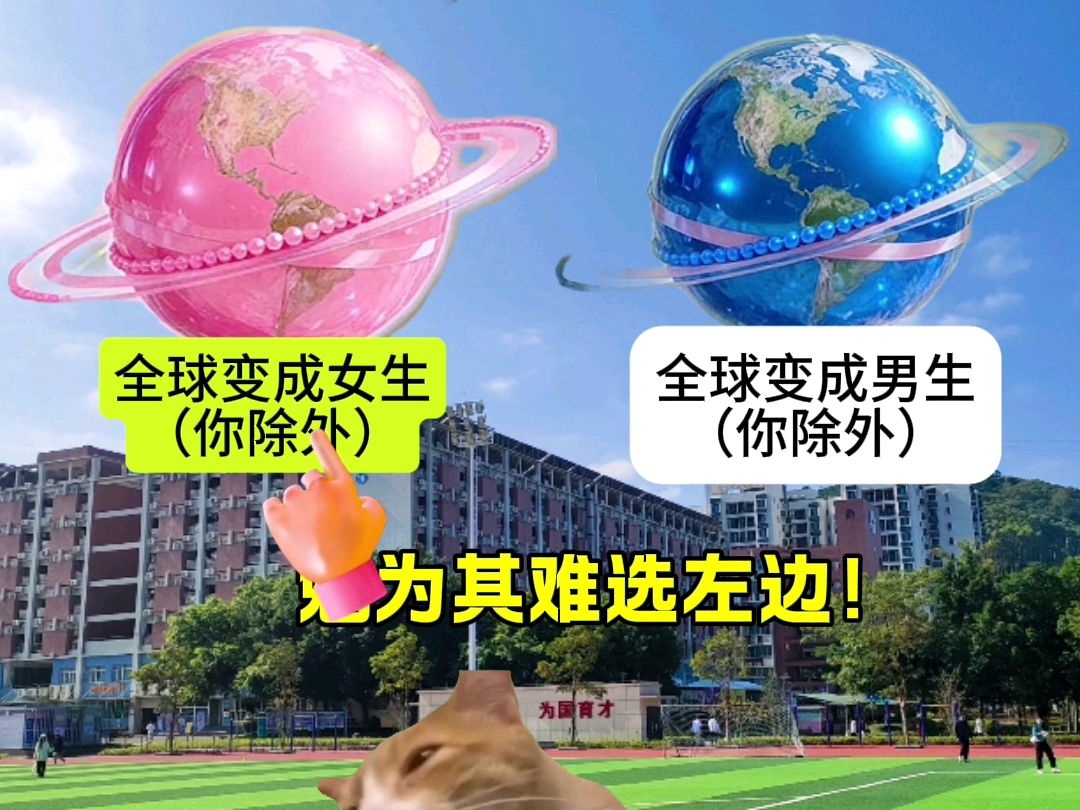 疯狂二选一