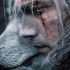 【1080p高燃混剪】白狼个人向-启示录|中英字幕|猎魔人电视剧