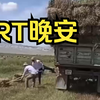 RT晚安