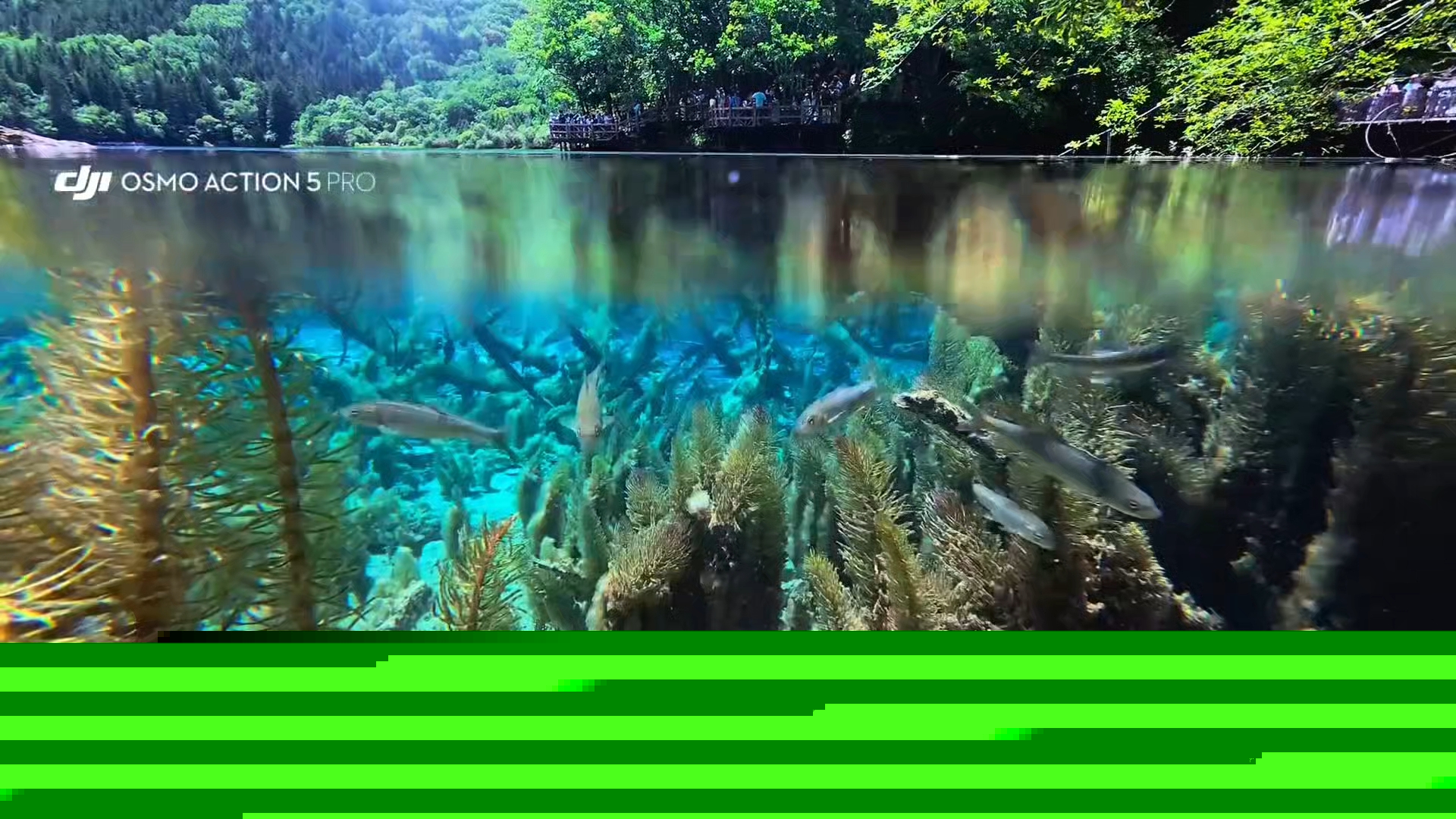 五花海的水上水下景色都绝美