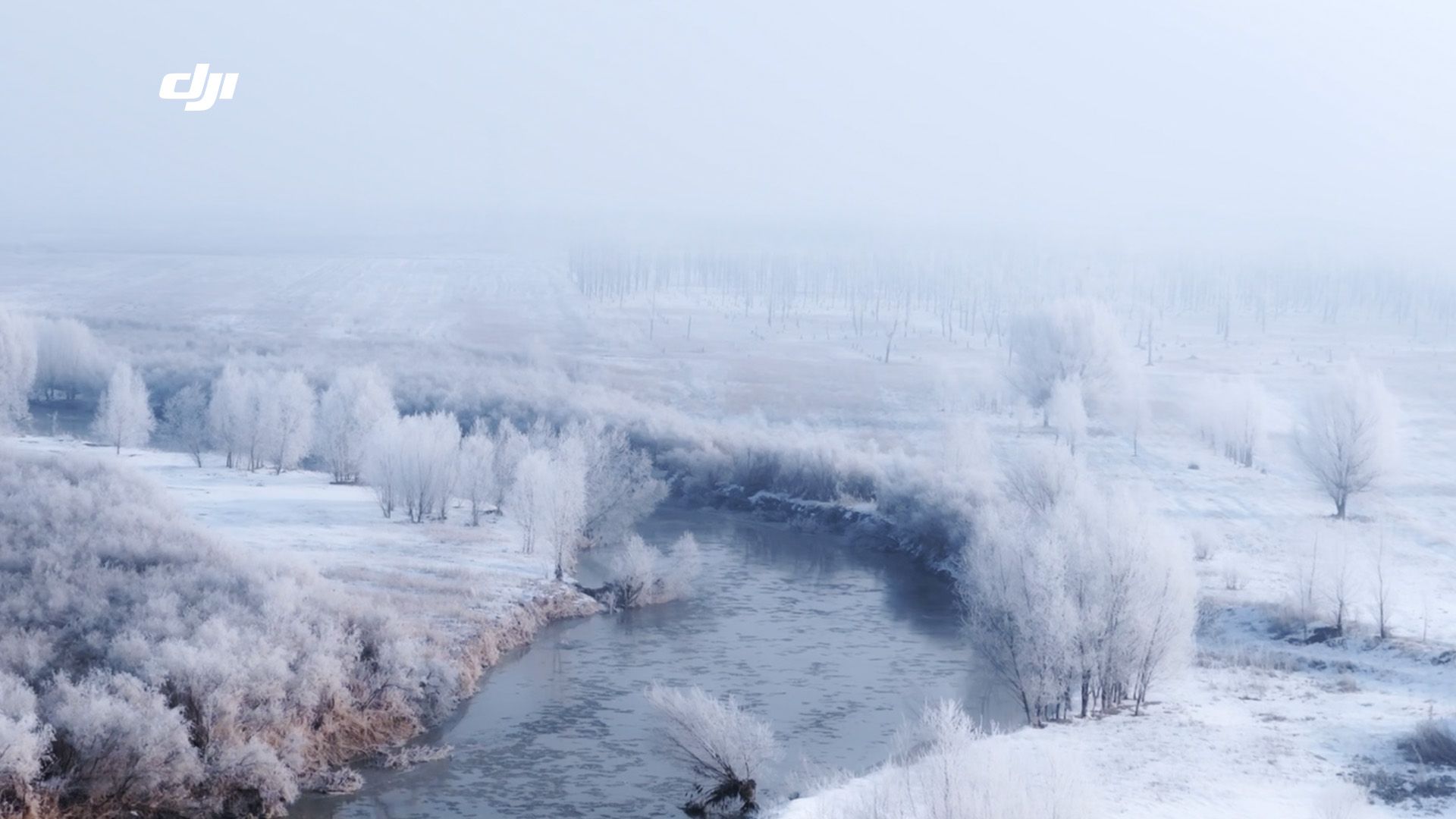 总要去山西大同看一次雾凇吧，太治愈了！