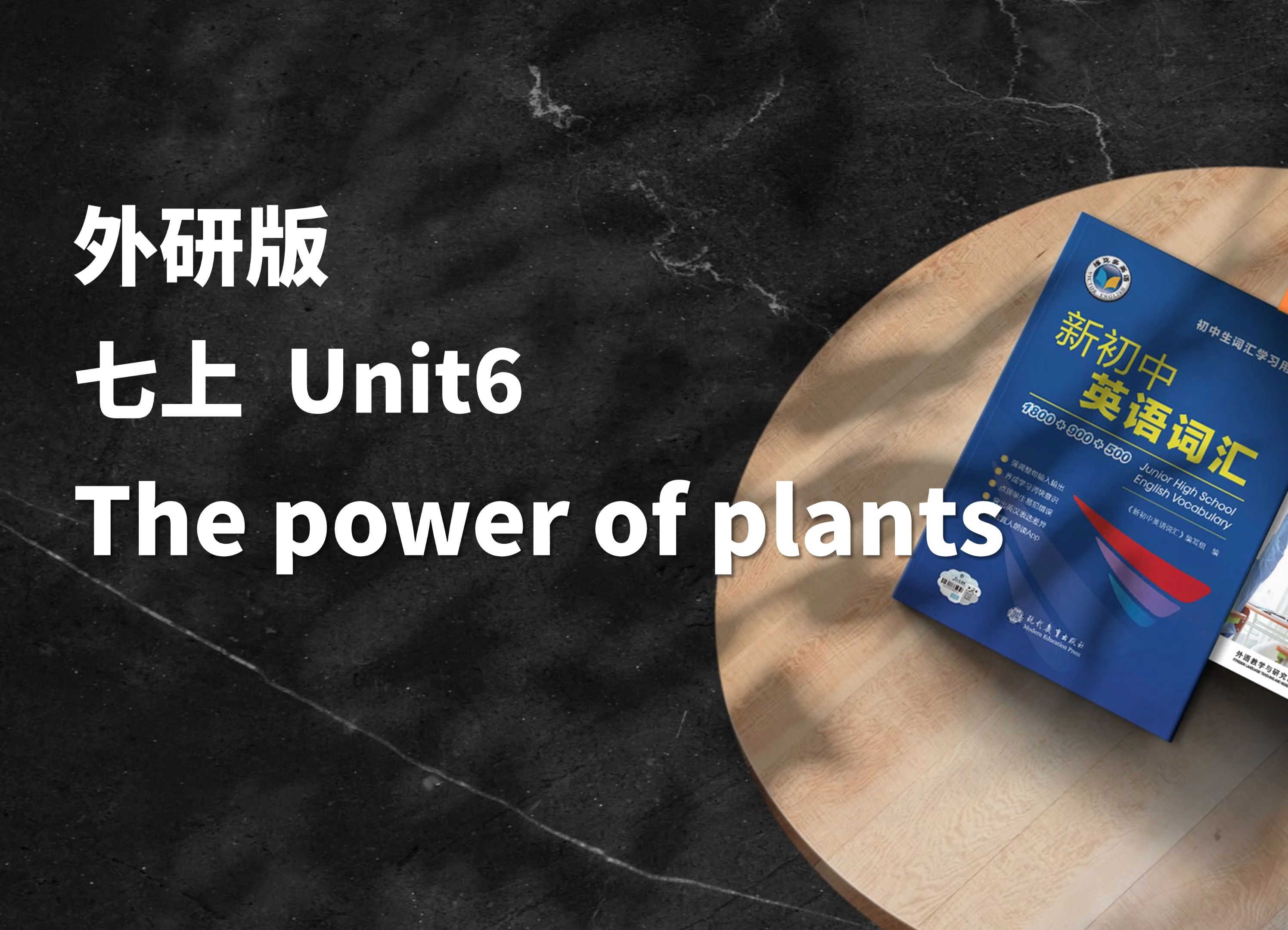 早读神器！新教材！24秋季新外研版七年级上 Unit6