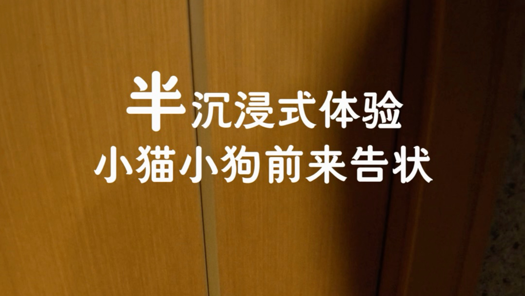 这是动物世界吗？为什么开门会有狮子王？