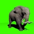 大象特效绿幕素材分享