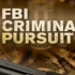 【纪录片】FBI罪案追踪第一季【真实案件纪录】