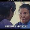 一部高分国产老